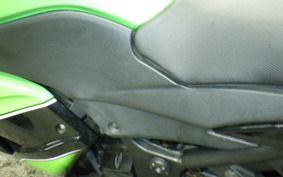 KAWASAKI NINJA 250R EX250K