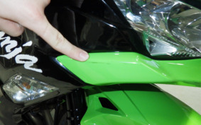 KAWASAKI NINJA ZX-6R A 2019 ZX636G