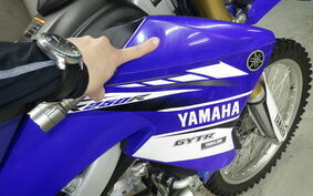 YAMAHA WR250R DG15J