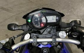 YAMAHA MT-25 RG43J