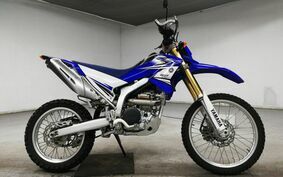 YAMAHA WR250R DG15J