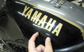 YAMAHA RZ250R 29L