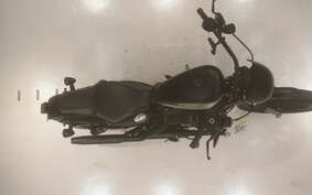 HARLEY XL1200NS 2021