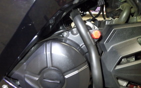 KAWASAKI NINJA 250 ABS EX250L