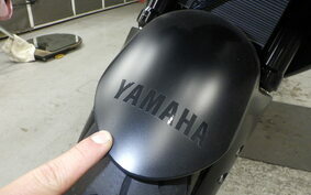 YAMAHA YZF-R3 2021 RH13J