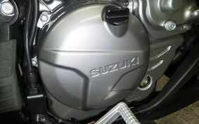 SUZUKI DL650 ( V-Strom 650 ) 2019 C733A