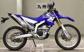 YAMAHA WR250R DG15J