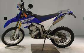 YAMAHA WR250R DG15J