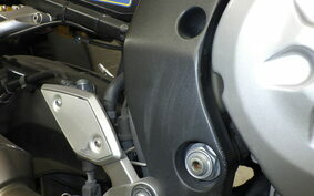 YAMAHA FZ FAZER 2008 RN21J