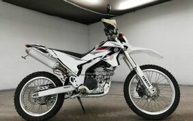 YAMAHA WR250R DG15J