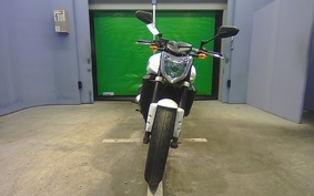 YAMAHA FZ FAZER 2009 RN21J