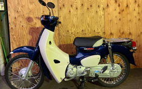 HONDA C110 SUPER CUB JA44