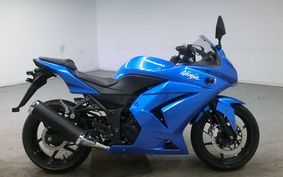 KAWASAKI NINJA 250R 2010 EX250K