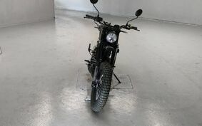 OTHER マット レイザーバック250 不明