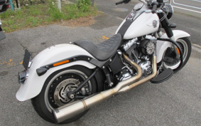 HARLEY FLSTFB 2010 JN5