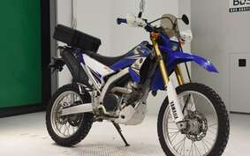 YAMAHA WR250R DG15J