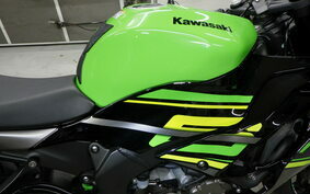 KAWASAKI NINJA ZX-6R A 2019 ZX636G