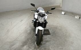 YAMAHA FZ FAZER 2009 RN21J