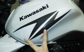 KAWASAKI Z1000 Gen.3 2008 ZRT00B