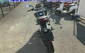 OTHER 250デューク