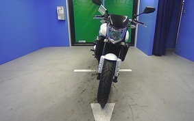 YAMAHA FZ FAZER 2008 RN21J