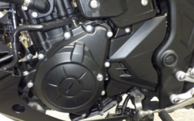 YAMAHA MT-25 RG43J