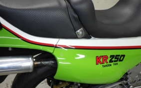 KAWASAKI KR250 KR250A