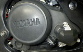 YAMAHA YZF-R15 1CK0