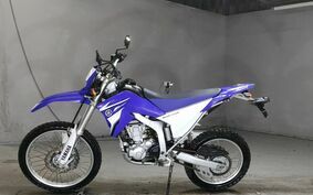 YAMAHA WR250R DG15J