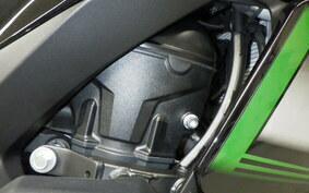 KAWASAKI NINJA 1000 SX 2020 ZXT02K